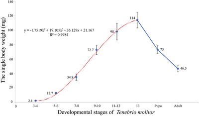 Dynamic Analysis of Major Components in the Different Developmental Stages of Tenebrio molitor